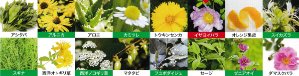 GO NATURE サンスクリーンクリーム16種類の植物エキスの図