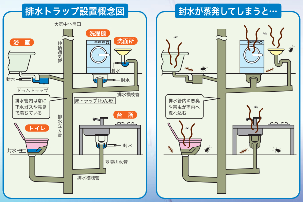 排水トラップ設置概念図・封水が蒸発してしまうと…