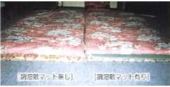 ʎ1