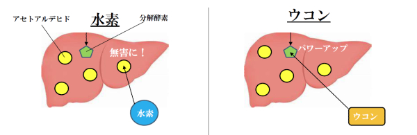 �E�R���Ɛ��f�̊̑��ɂ����铭���̐}